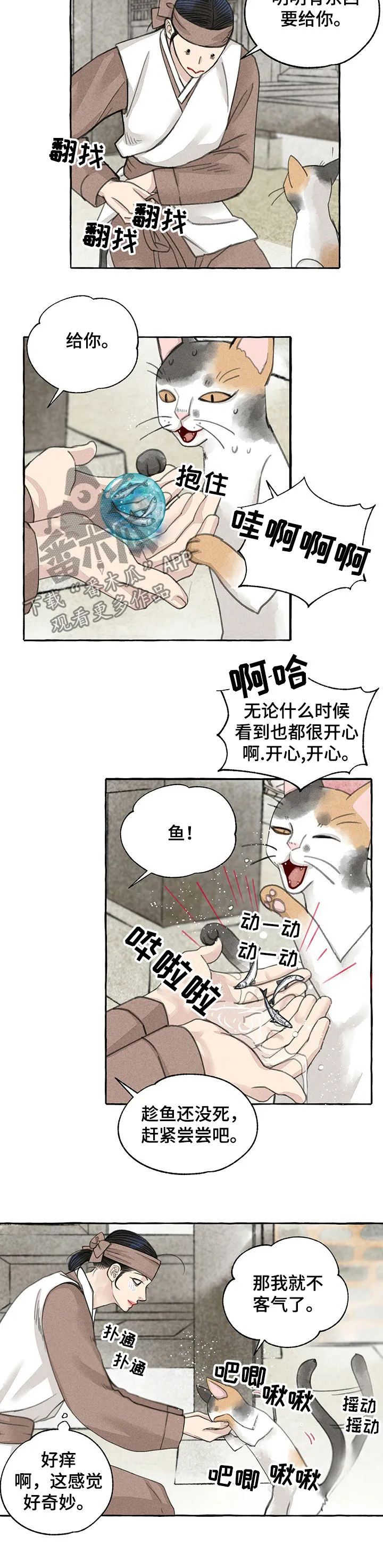 冒险秘密漫画漫画,第59章：回家3图