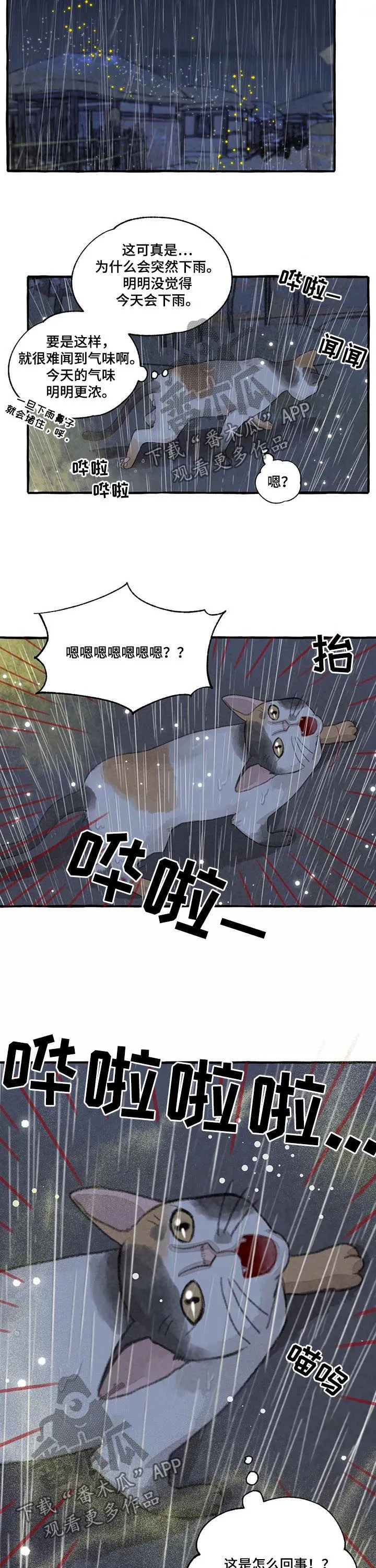 有关冒险的漫画漫画,第99章：瑞雨9图