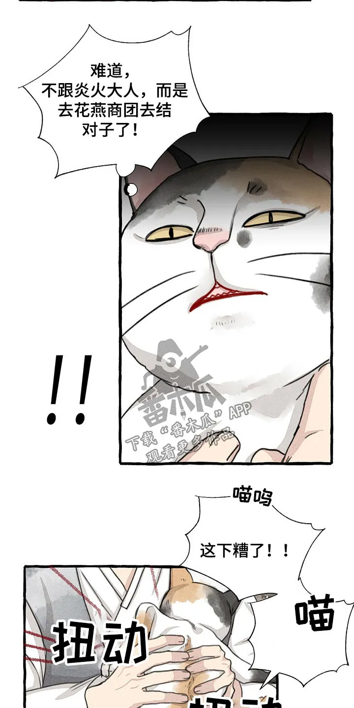 冒险秘密漫画漫画,第128章：猫咪19图