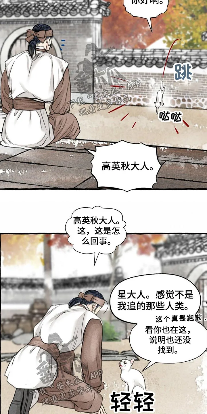 冒险秘密漫画漫画,第128章：猫咪7图