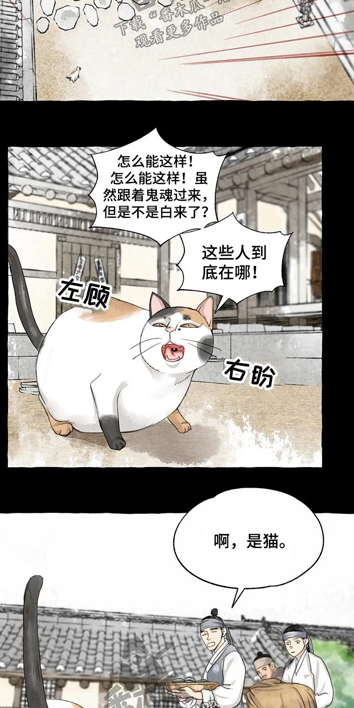 冒险秘密漫画漫画,第128章：猫咪13图