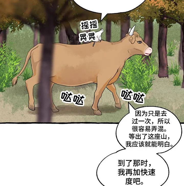 冒险漫画小说漫画,第121章：绝对11图