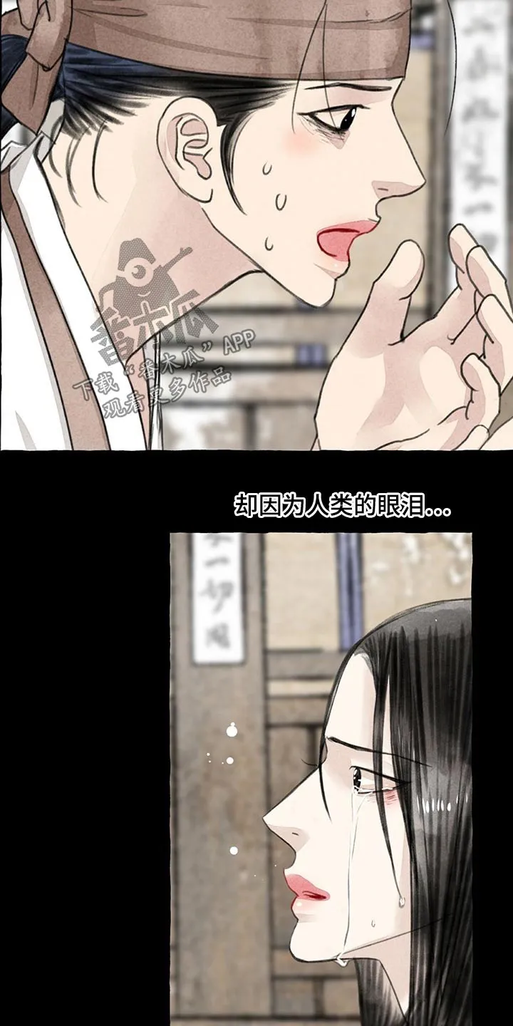 冒险秘密漫画漫画,第128章：猫咪4图