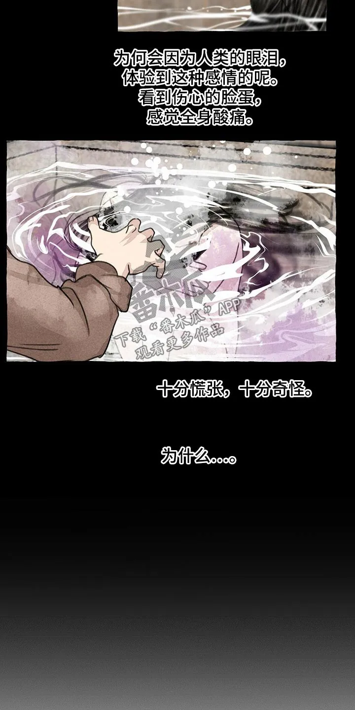 冒险秘密漫画漫画,第128章：猫咪5图
