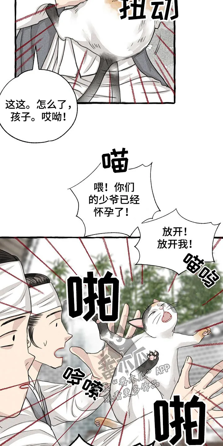 冒险秘密漫画漫画,第128章：猫咪20图