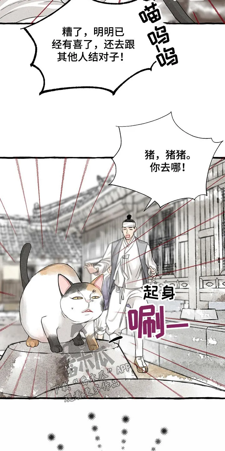 冒险秘密漫画漫画,第128章：猫咪21图