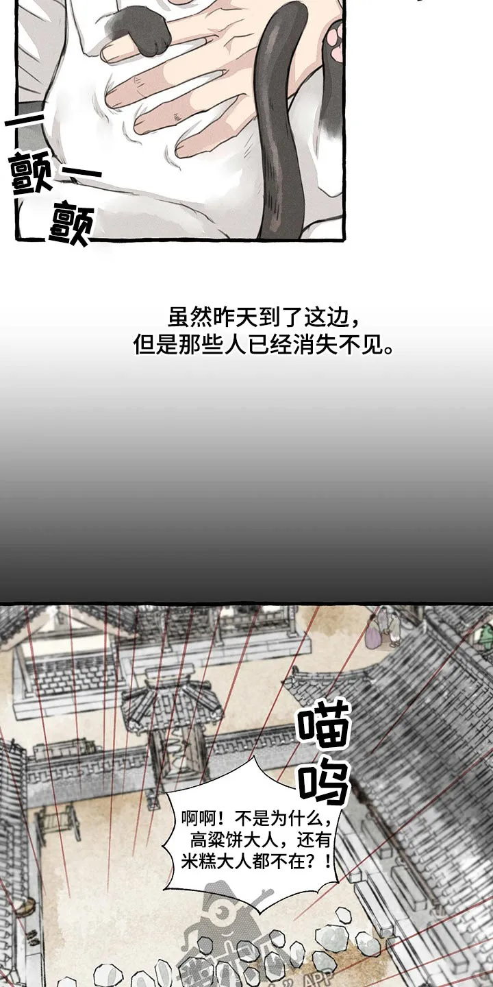冒险秘密漫画漫画,第128章：猫咪12图