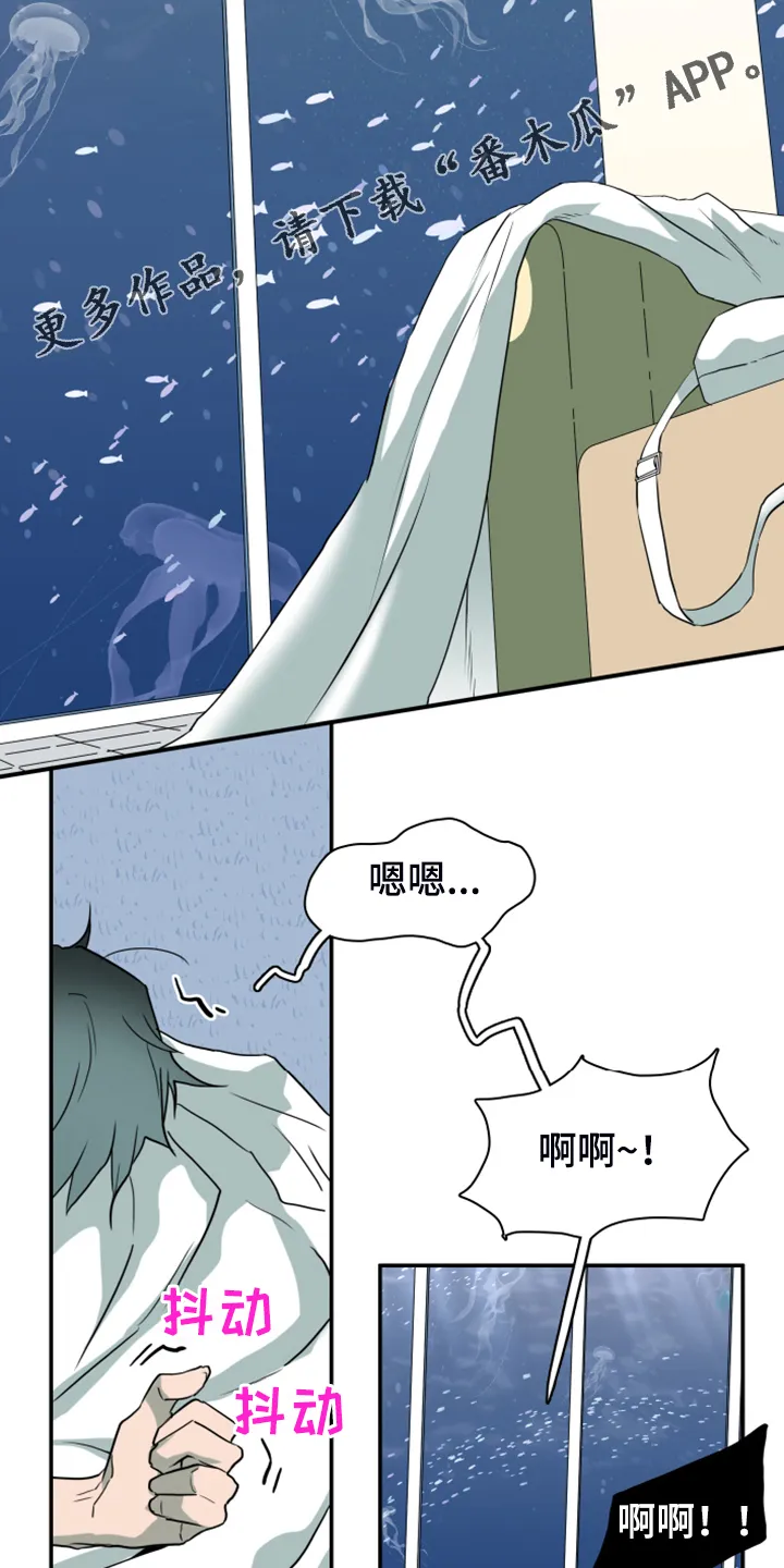 漫画撒旦的家漫画,第255章：【番外】更重要的事2图
