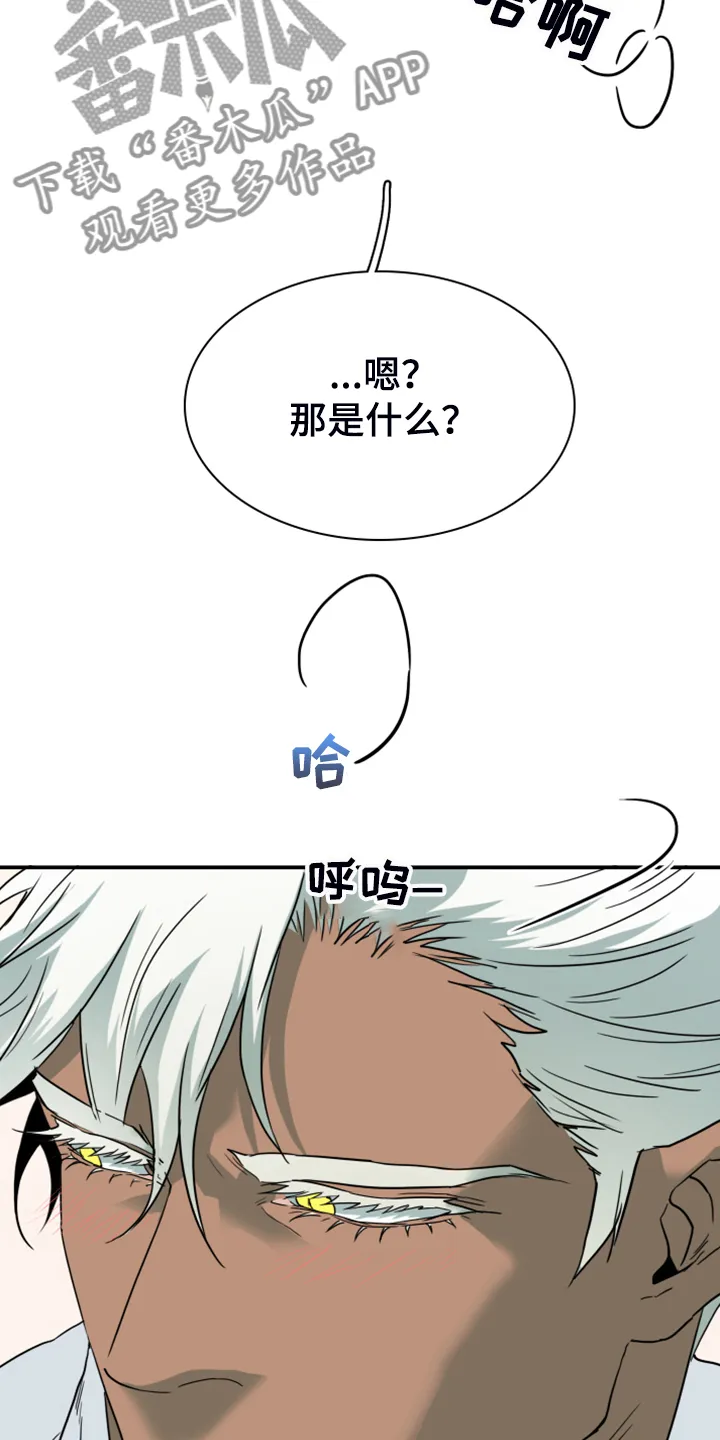 黑夜撒旦漫画漫画,第252章：【番外】期待的洞房31图