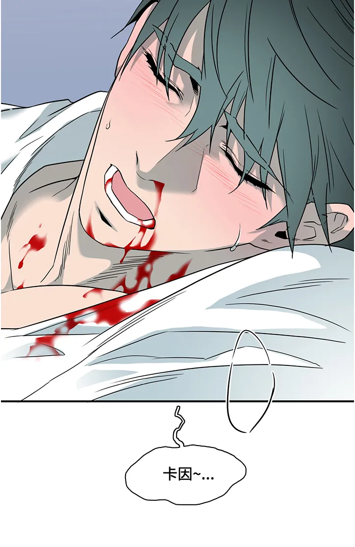 若世界处于黑夜漫画漫画,第227章：没有守护的理由18图
