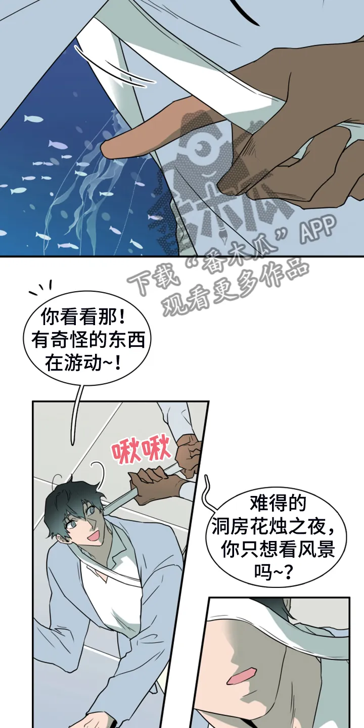 黑夜撒旦漫画漫画,第252章：【番外】期待的洞房19图