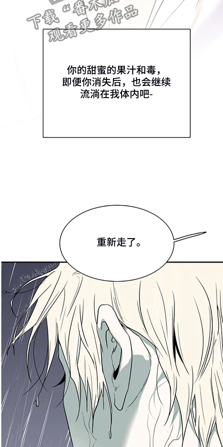 音乐天使与撒旦的漫画漫画,第239章：心有多痛18图