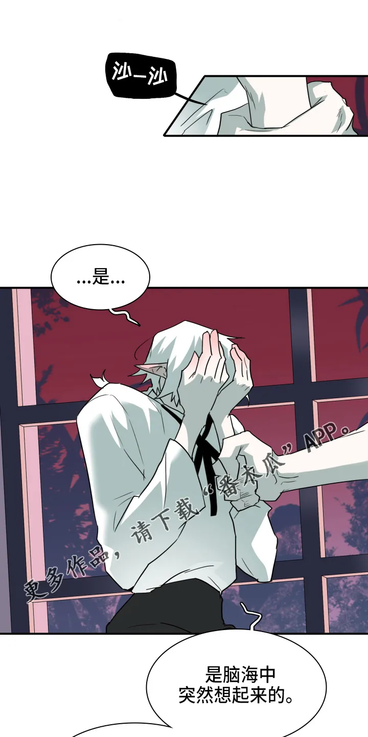 黑夜撒旦这个漫画讲了什么漫画,第266章：【番外】实现愿望11图