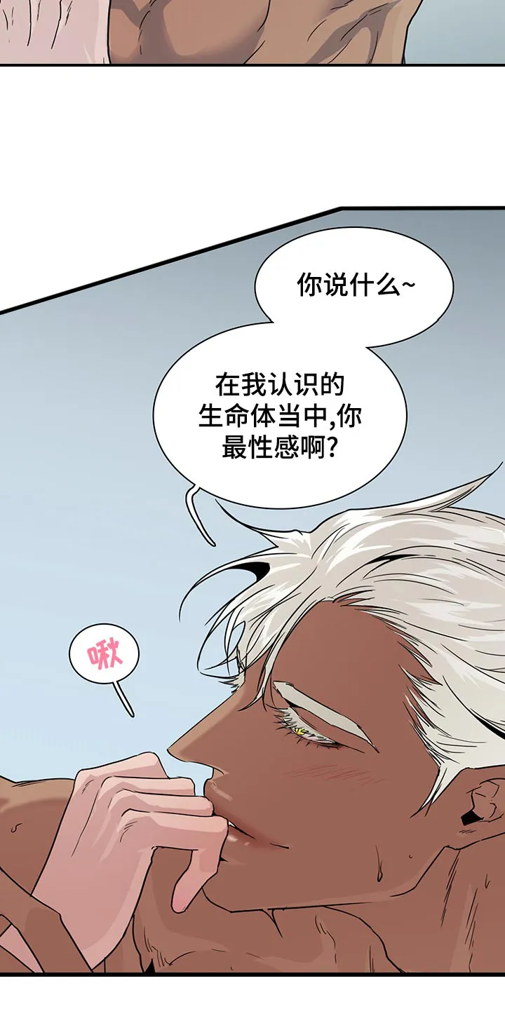 撒旦的舞会漫画漫画,第180章：遗憾6图