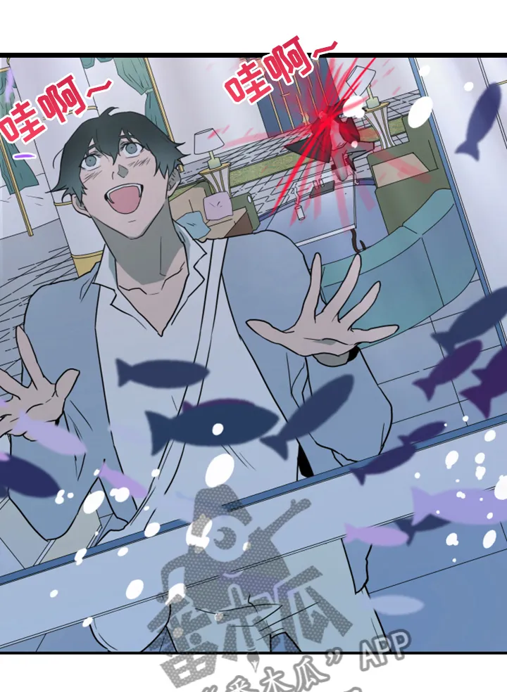 黑夜撒旦漫画漫画,第252章：【番外】期待的洞房16图