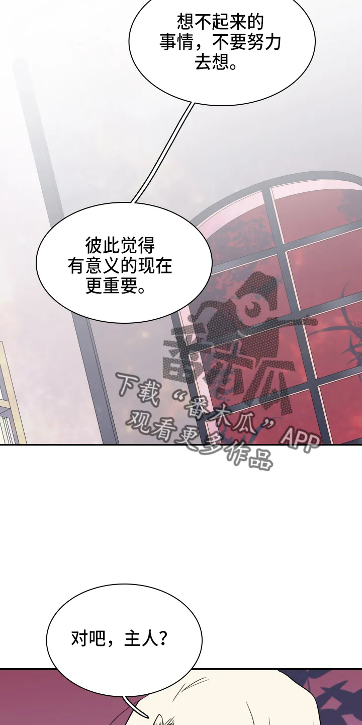 黑夜撒旦这个漫画讲了什么漫画,第266章：【番外】实现愿望19图