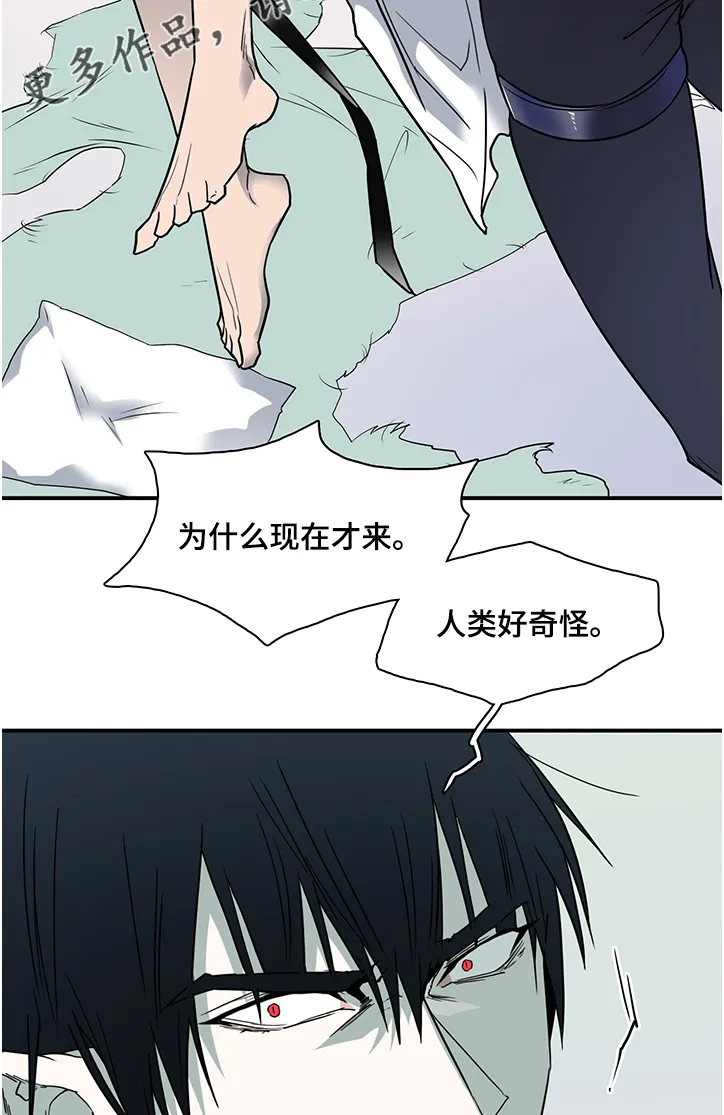 若世界处于黑夜漫画漫画,第227章：没有守护的理由16图