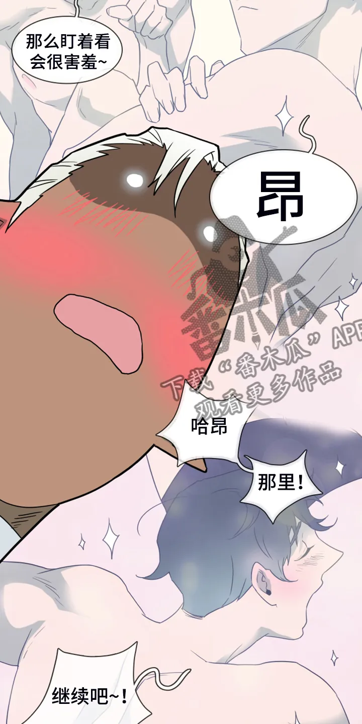 黑夜撒旦漫画漫画,第252章：【番外】期待的洞房14图
