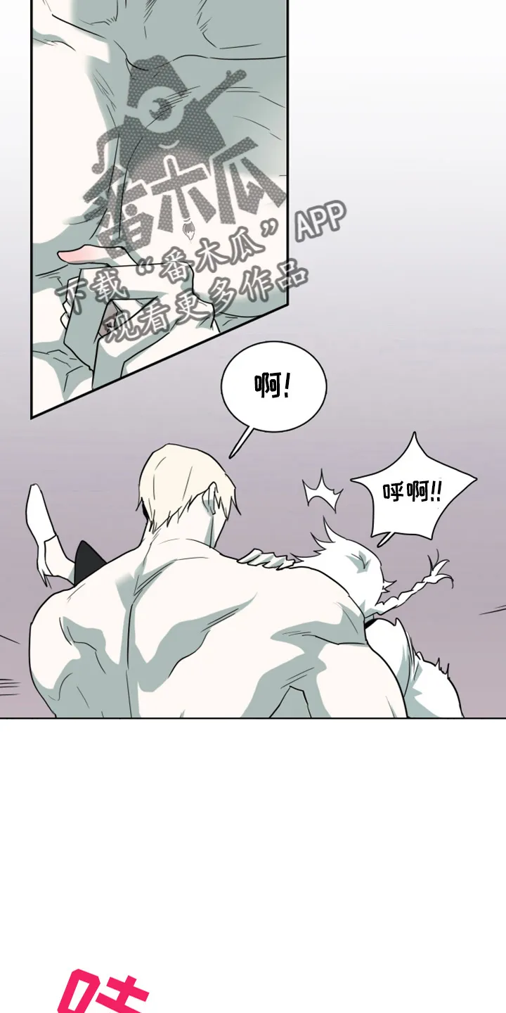 黑夜撒旦这个漫画讲了什么漫画,第266章：【番外】实现愿望24图