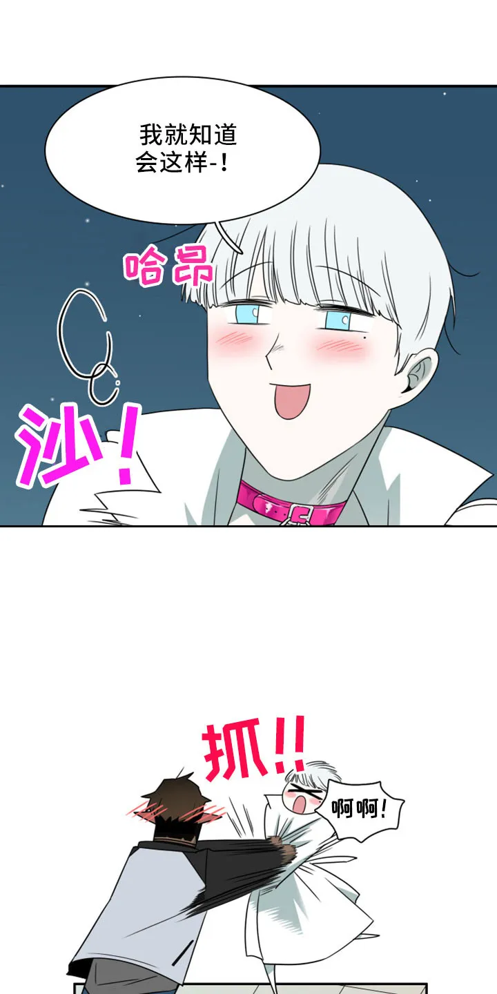 黑夜撒旦这个漫画讲了什么漫画,第277章：【番外】开始了 约会25图