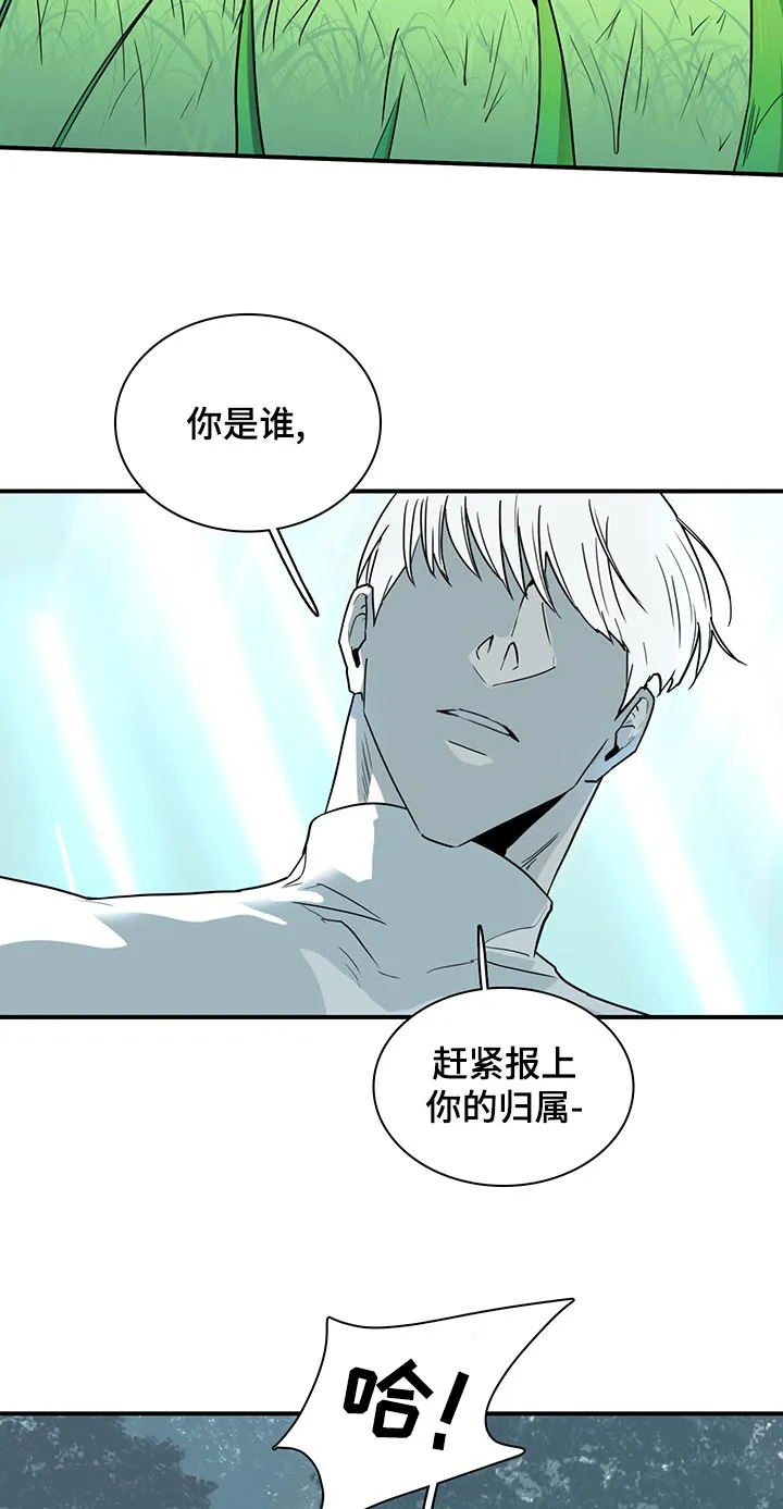音乐天使与撒旦的漫画漫画,第173章：互通姓名5图