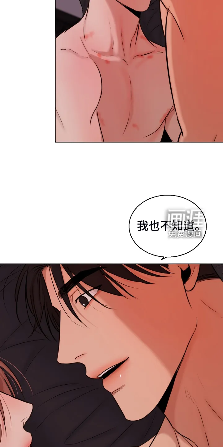 意大利餐厅漫画漫画,第110章：不明所以的伤7图
