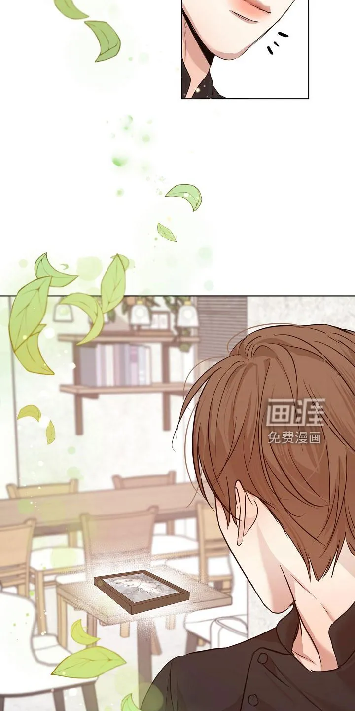 意大利餐厅漫画在线阅读漫画,第134章：更加幸福15图