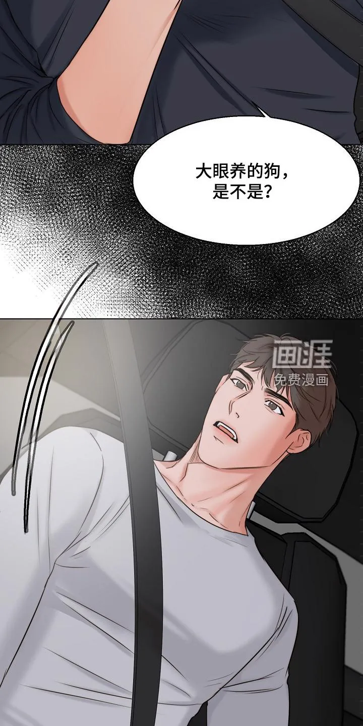 意大利餐厅漫画在线阅读漫画,第114章：不寻常的狗10图
