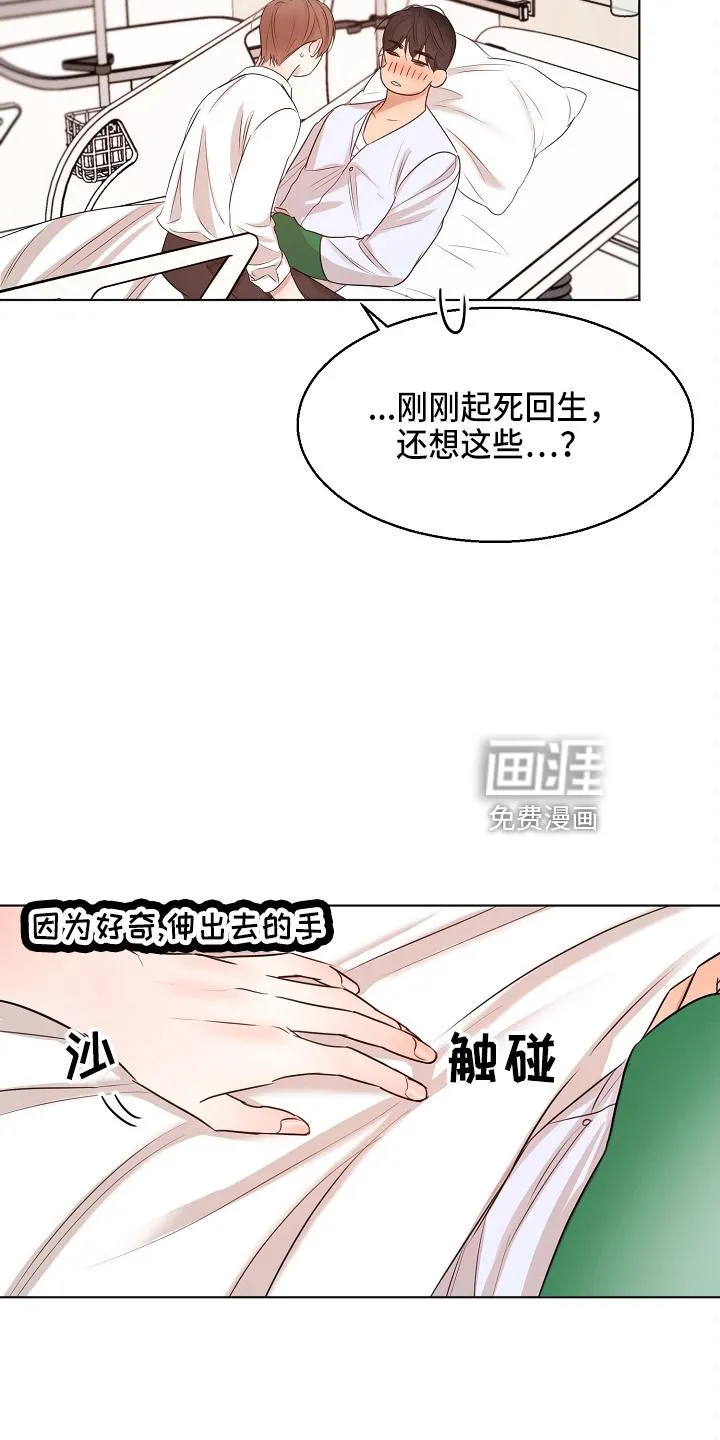 意大利餐厅漫画漫画,第124章：我喜欢你22图