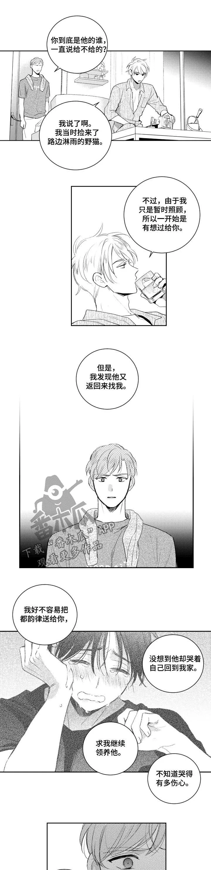 甜蜜社团漫画漫画,第102章：野猫3图