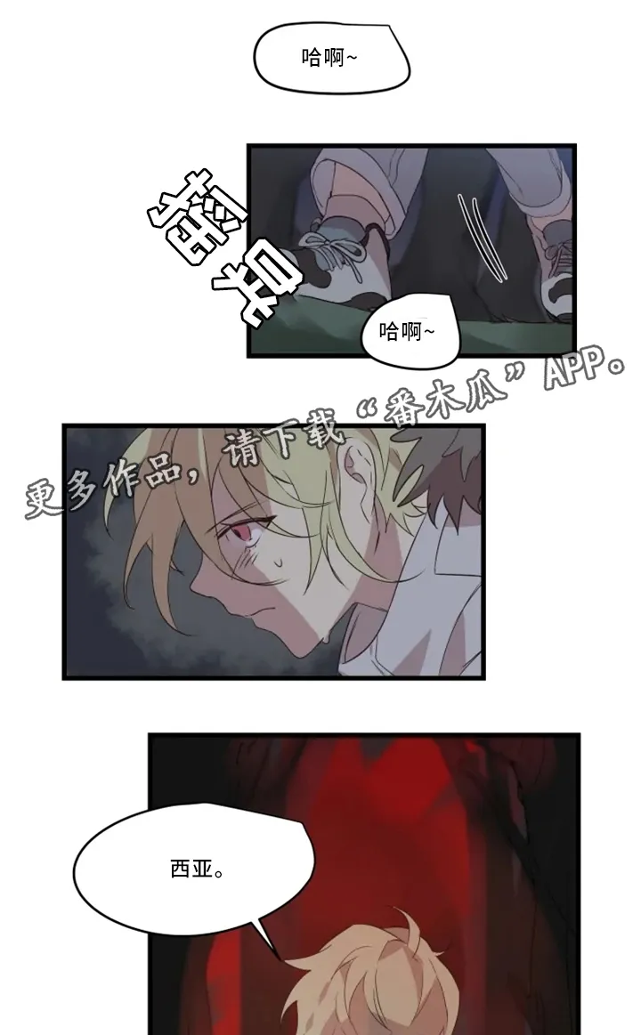半魔恋人漫画漫画,第33章：战斗准备11图