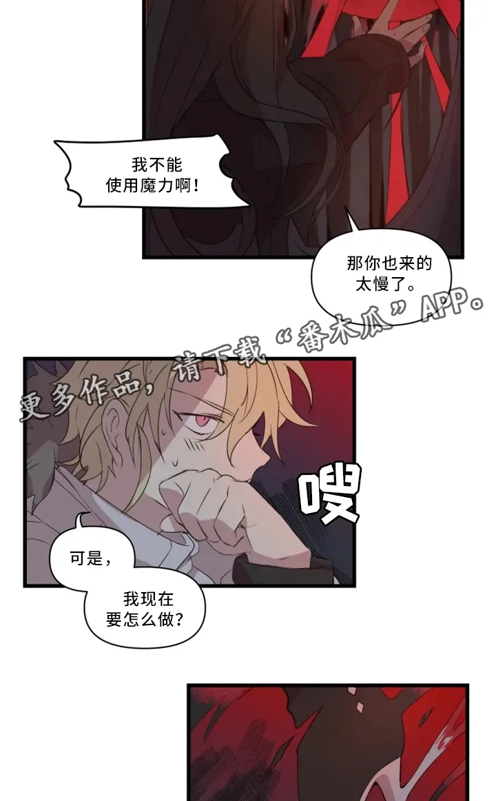 半魔恋人漫画漫画,第33章：战斗准备13图