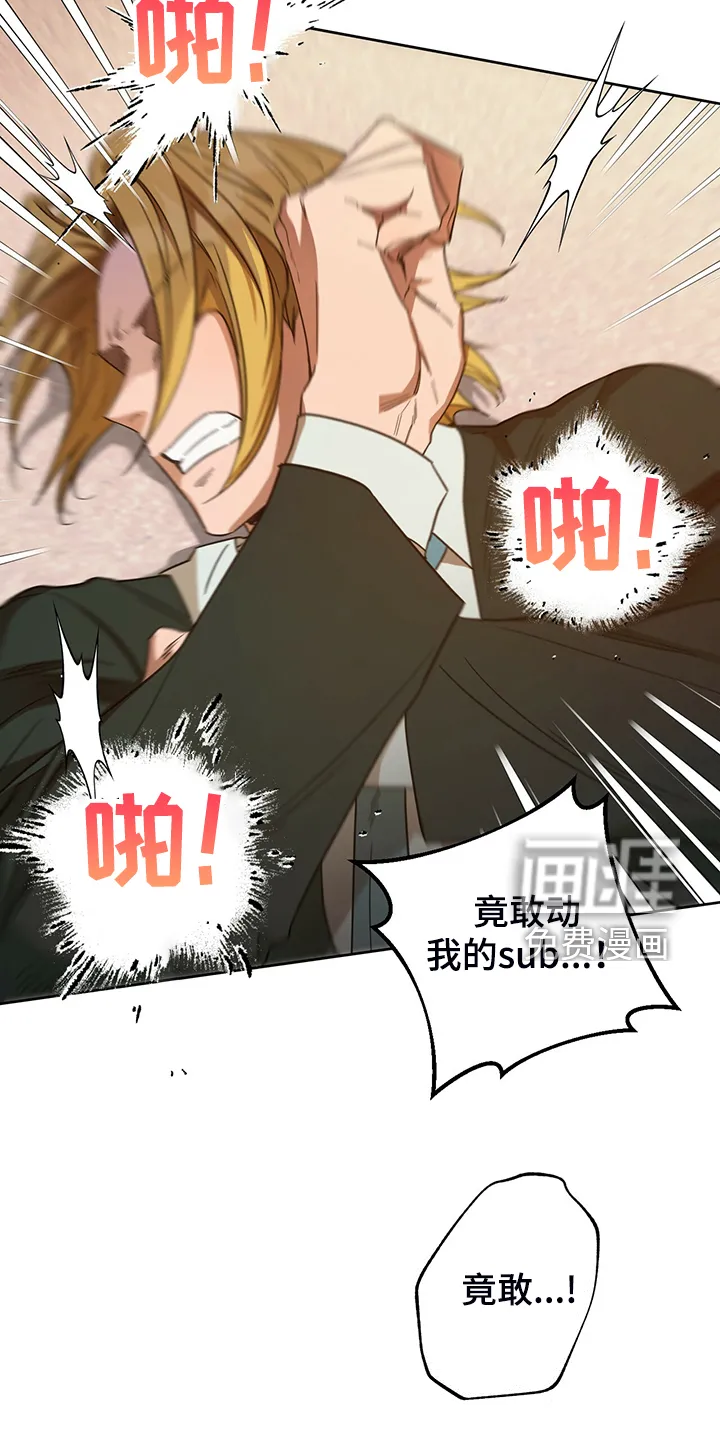 佣兵保镖漫画漫画,第105章：【第二季】你竟敢5图
