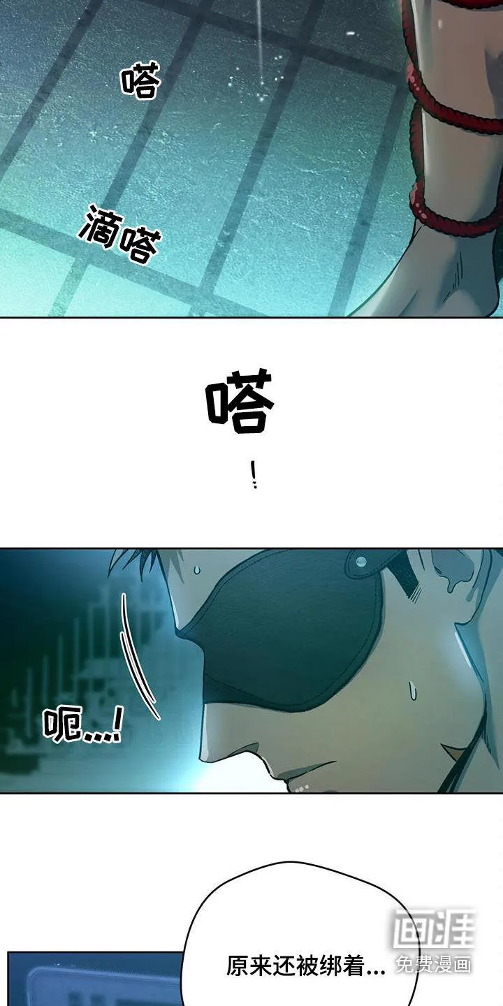 佣兵保镖漫画漫画,第116章：【第二季】唯一的主人10图