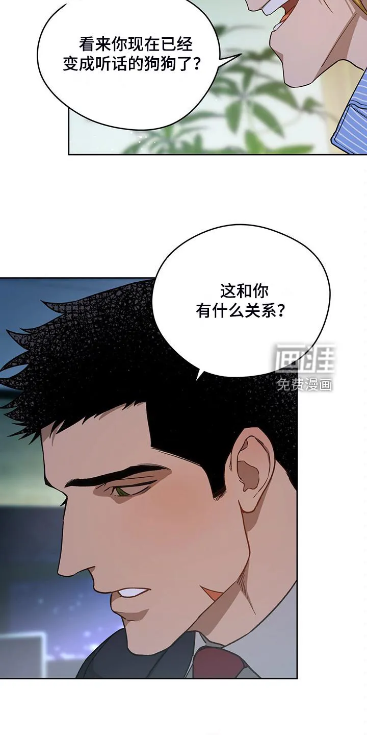 佣兵保镖漫画漫画,第111章：【第二季】看猫13图