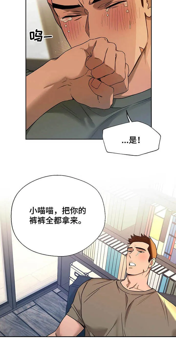佣兵保镖漫画未删减版免费观看漫画,第81章：【第二季】有在用12图