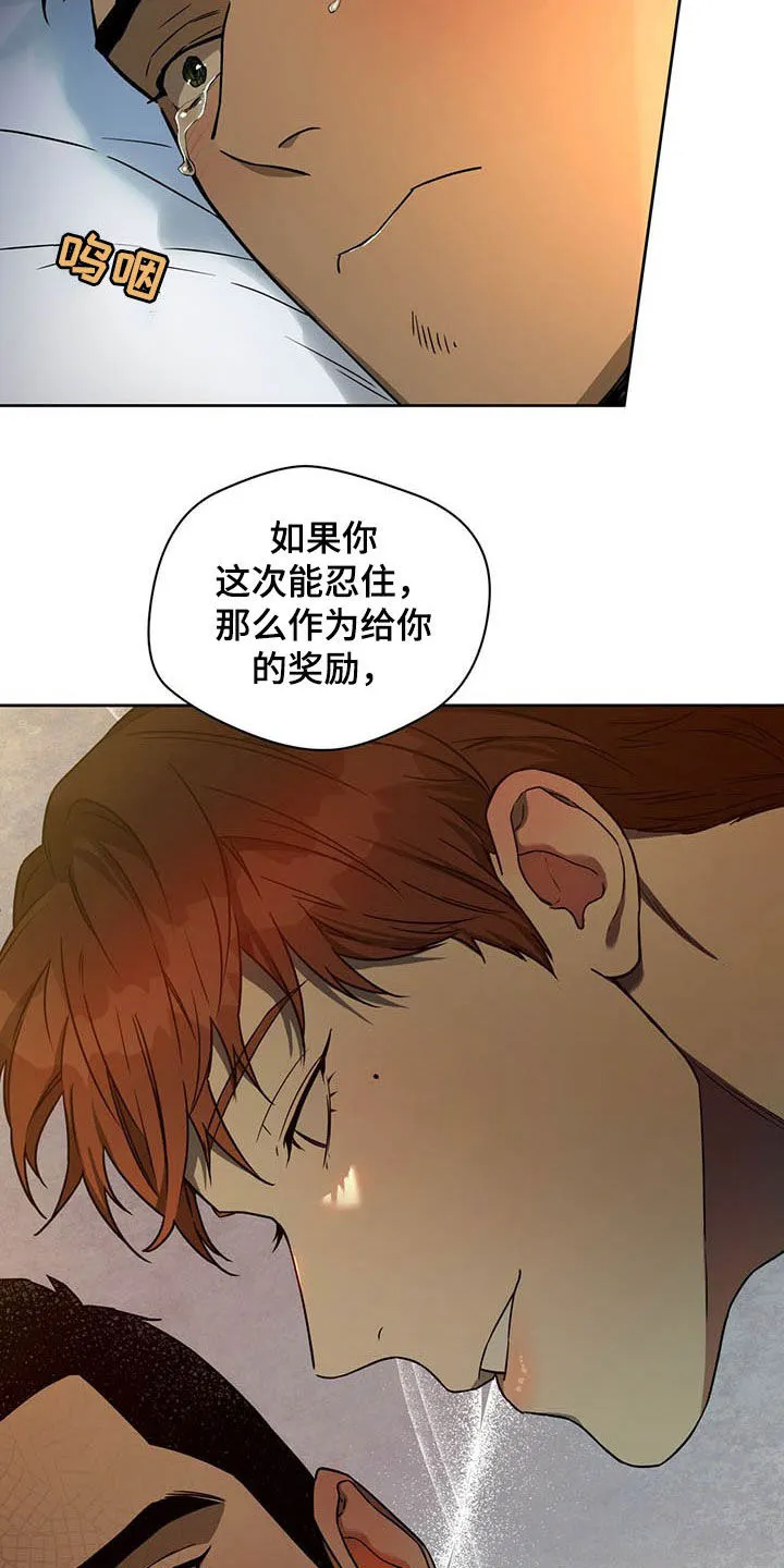 佣兵保镖漫画漫画,第90章：【第二季】苍蝇14图