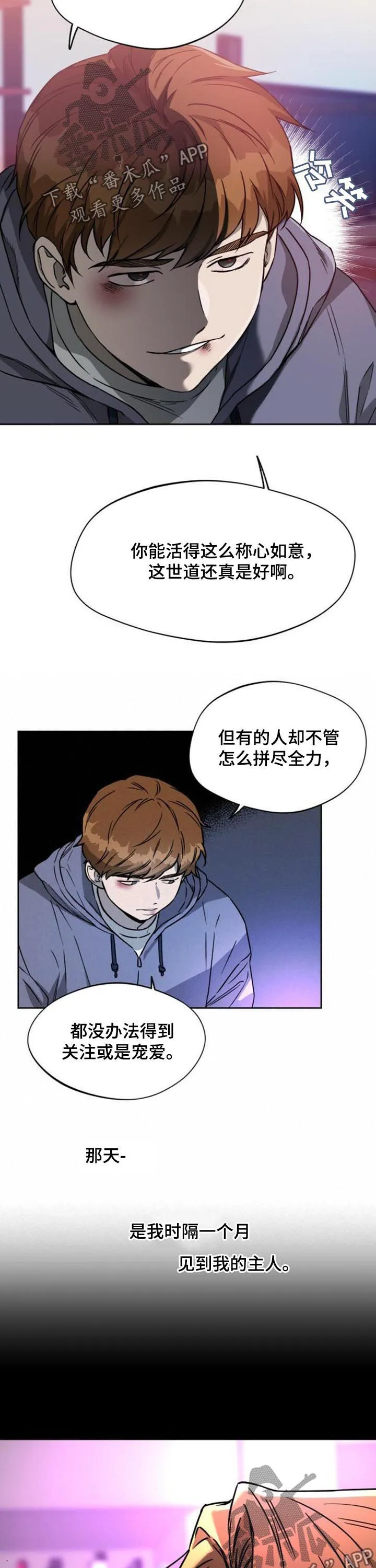 佣兵保镖漫画双男主漫画,第53章：蠢货5图