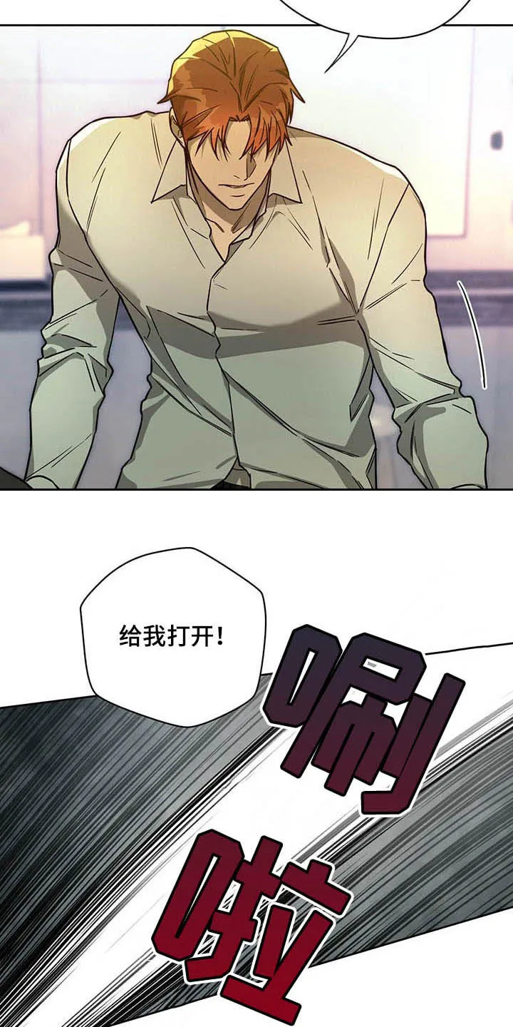 佣兵保镖漫画双男主漫画,第87章：【第二季】没听清11图