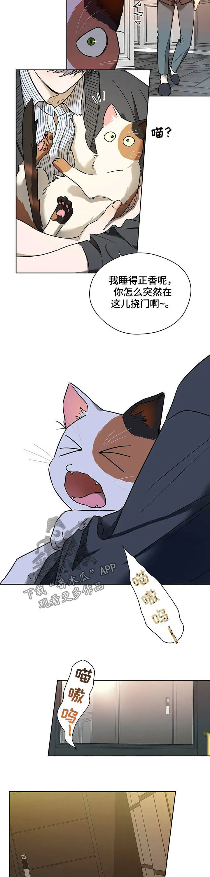 佣兵保镖漫画漫画,第72章：【番外】答应11图