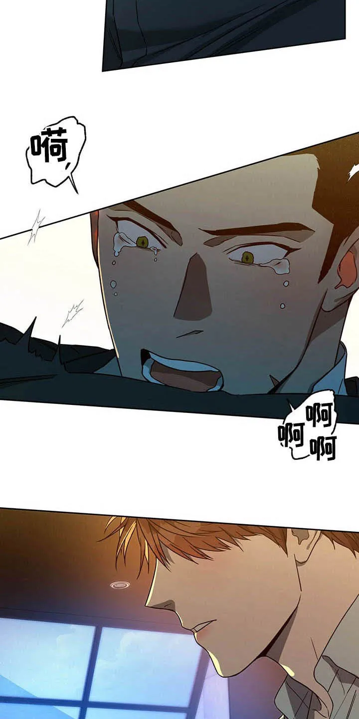 佣兵保镖漫画双男主漫画,第87章：【第二季】没听清9图
