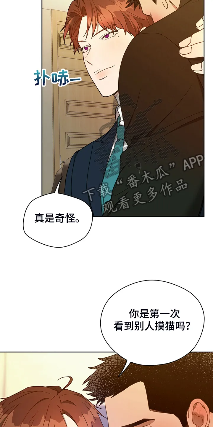 佣兵保镖漫画漫画,第103章：【第二季】不想看下去18图