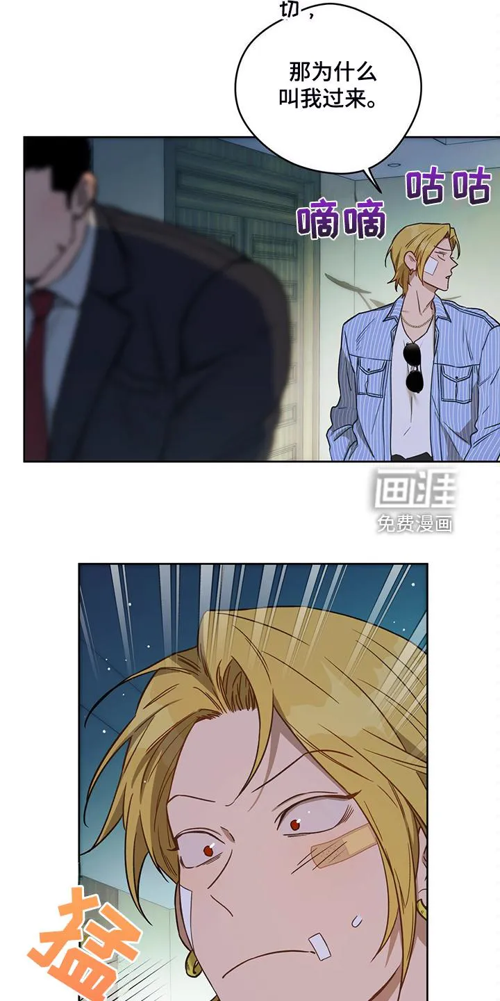 佣兵保镖漫画漫画,第111章：【第二季】看猫14图