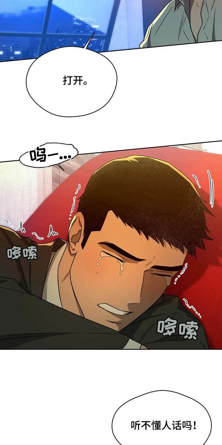 佣兵保镖漫画双男主漫画,第87章：【第二季】没听清10图