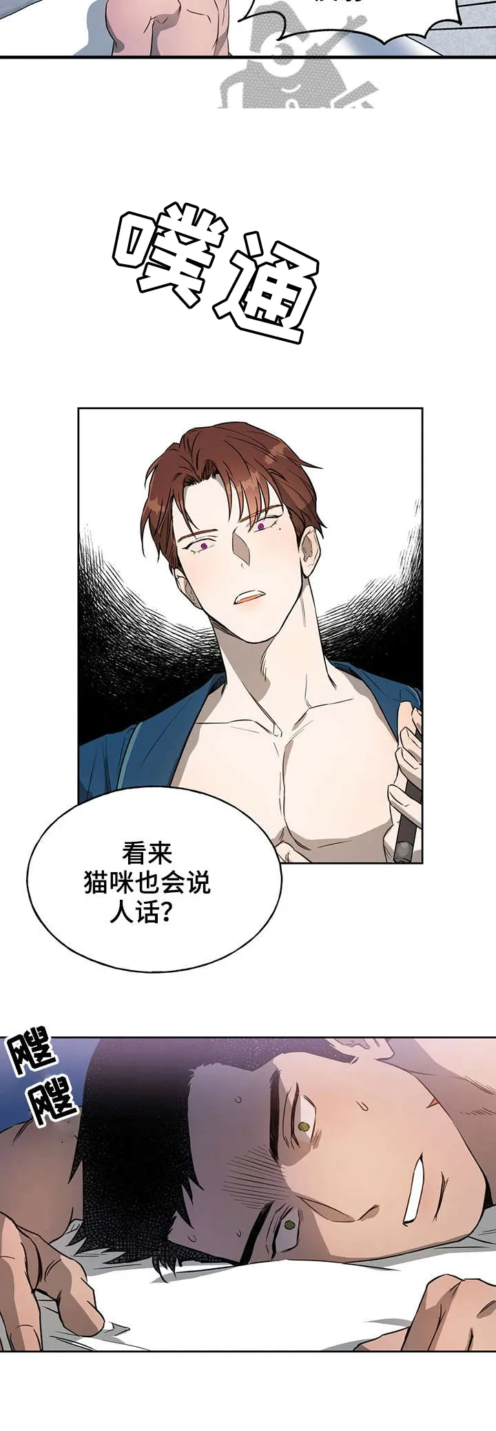 佣兵保镖漫画双男主漫画,第21章：未经允许8图