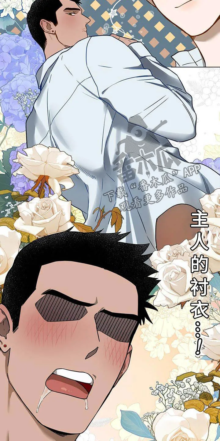 佣兵保镖漫画未删减版免费观看漫画,第91章：【第二季】主人的衬衣19图