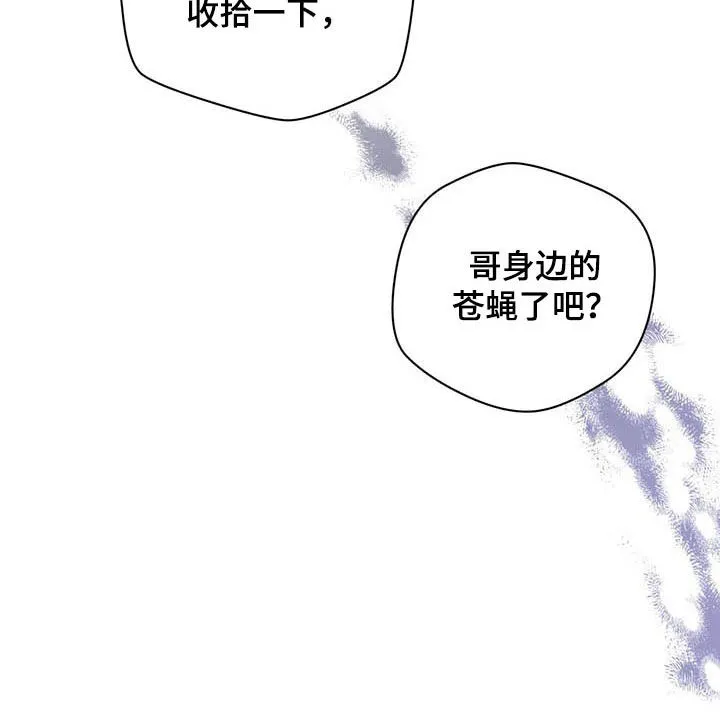 佣兵保镖漫画漫画,第90章：【第二季】苍蝇21图