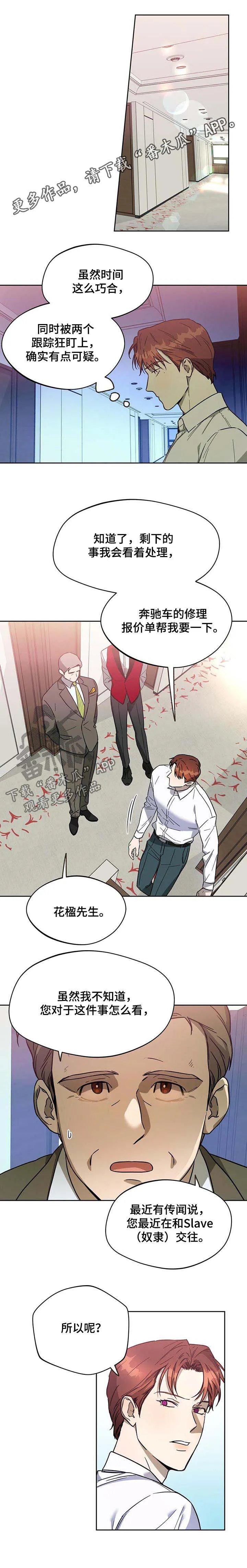 佣兵保镖漫画双男主漫画,第48章：越来越复杂6图