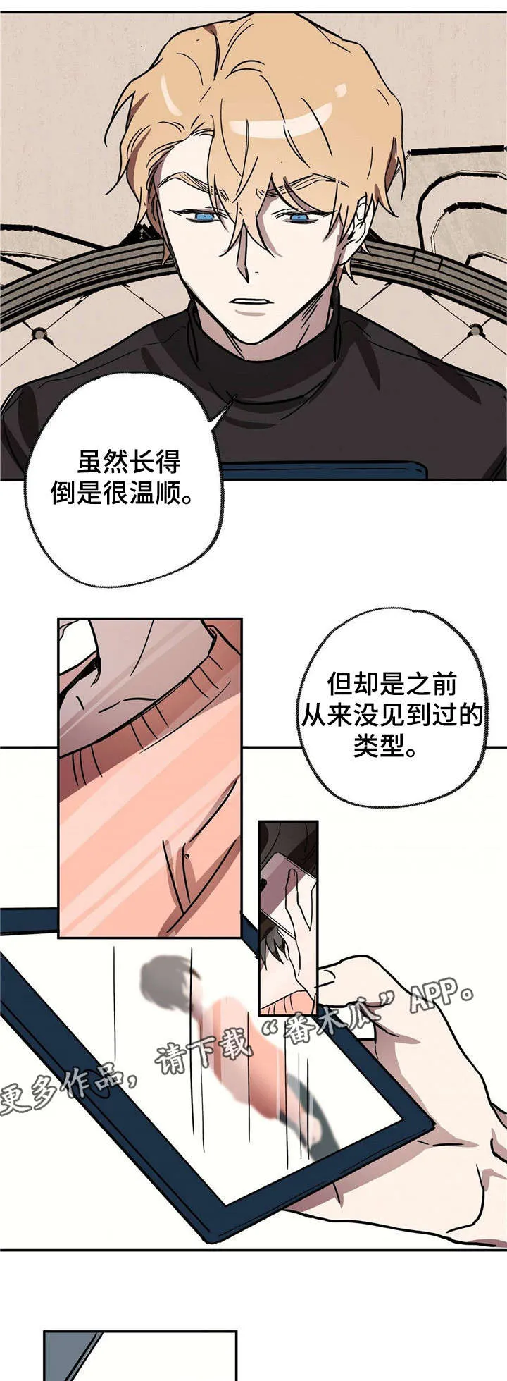 皇室日漫漫画,第19章：中场休息5图