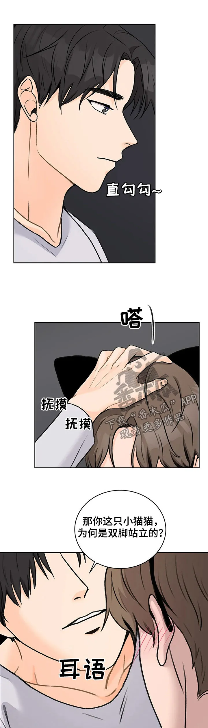 爱直播漫画漫画,第27章：确定关系10图